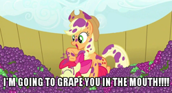 Size: 500x269 | Tagged: safe, edit, edited screencap, screencap, apple bloom, applejack, earth pony, pony, sisterhooves social, duo, food, grape juice, grapes, image macro, juice, messy, noogie, whitest kids you know, youtube