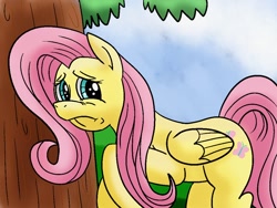 Size: 1024x768 | Tagged: safe, artist:shinkuma, fluttershy, pegasus, pony, female, mare, pink mane, yellow coat