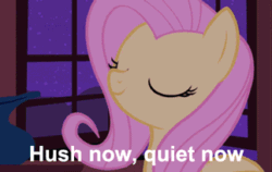 Size: 323x204 | Tagged: safe, screencap, fluttershy, pegasus, pony, stare master, animated, cute, fluttermom, hush now quiet now, image macro, lullaby, shyabetes, singing, solo, subtitles