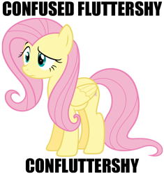 Size: 470x500 | Tagged: safe, artist:myardius, fluttershy, pegasus, pony, stare master, caption, confluttershy, confused, image macro, reaction image