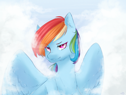 Size: 1024x768 | Tagged: safe, artist:drawyaheli, derpibooru import, rainbow dash, pegasus, pony, bust, cloud, solo