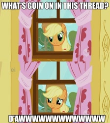 Size: 500x557 | Tagged: safe, screencap, applejack, earth pony, pony, the show stoppers, c:, cute, daaaaaaaaaaaw, image macro, reaction image, smiling, what's going on in this thread, window