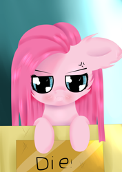 Size: 3507x4960 | Tagged: safe, artist:fladdykin, pinkie pie, earth pony, pony, pinkamena diane pie, sign, solo