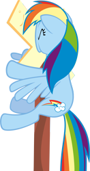 Size: 3000x5680 | Tagged: safe, artist:timeimpact, derpibooru import, rainbow dash, pegasus, pony, over a barrel, .psd available, high res, rainbow crash, sign, simple background, solo, transparent background, vector