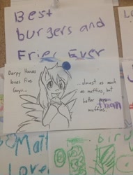 Size: 500x655 | Tagged: safe, derpy hooves, pegasus, pony, female, five guys, grammar nazi, info board, mare