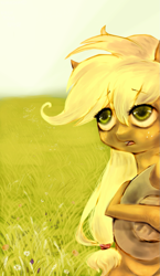 Size: 813x1399 | Tagged: safe, artist:klalaskaxd, applejack, earth pony, pony, solo