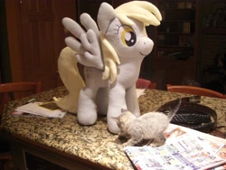 Size: 3648x2736 | Tagged: safe, artist:theculturewarrior, derpy hooves, pegasus, pony, female, irl, kitten, mare, photo, plushie