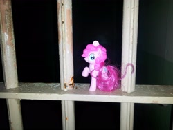 Size: 3264x2448 | Tagged: safe, artist:aeniug2, pinkie pie, alcatraz, irl, photo, ponies around the world, toy