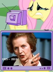 Size: 684x936 | Tagged: safe, fluttershy, pegasus, pony, exploitable meme, fluttercry, margaret thatcher, tv meme