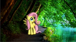 Size: 1280x720 | Tagged: safe, artist:colorfulbrony, fluttershy, pegasus, pony, path, ponies in real life, river, shadow, stream, tree