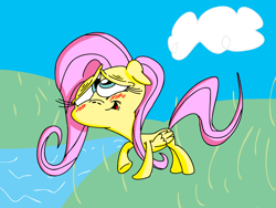 Size: 1600x1200 | Tagged: safe, artist:nocturnalmeteor, fluttershy, pegasus, pony, solo