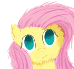 Size: 900x840 | Tagged: safe, artist:tggeko, fluttershy, pegasus, pony, female, fluffy, mare, pink mane, yellow coat