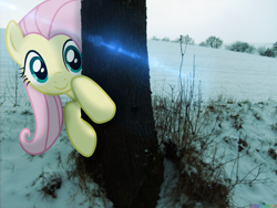 Size: 2560x1920 | Tagged: safe, artist:colorfulbrony, fluttershy, cute, irl, photo, ponies in real life