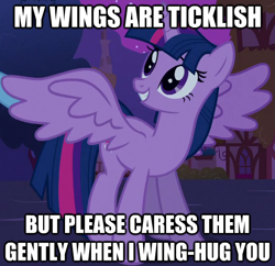 Size: 588x570 | Tagged: safe, derpibooru import, twilight sparkle, twilight sparkle (alicorn), alicorn, pony, female, hug, image macro, mare, smiling, ticklish wings, wingboner, winghug, wings