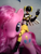 Size: 1920x2560 | Tagged: safe, pinkie pie, earth pony, pony, akibarangers, akibayellow, female, mare, pink coat, pink mane, toy