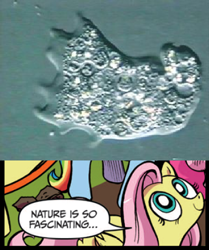 Size: 395x472 | Tagged: safe, idw, fluttershy, pegasus, pony, amoeba, blue coat, blue eyes, brain-eating amoeba, dialogue, exploitable meme, female, looking up, mare, meme, multicolored tail, naegleria fowleri, nature is so fascinating, pink coat, pink mane, smiling, speech bubble, wings, yellow coat