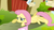 Size: 956x536 | Tagged: safe, screencap, fluttershy, pegasus, pony, putting your hoof down, doormat, letter