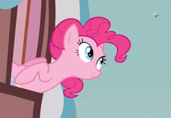 Size: 644x444 | Tagged: safe, screencap, pinkie pie, bee, earth pony, pony, apple family reunion, solo, window