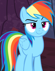 Size: 834x1080 | Tagged: safe, derpibooru import, screencap, rainbow dash, pegasus, pony, shadow play, cropped, cute, dashabetes, faic, lidded eyes, rainbow dash is best facemaker, raised eyebrow, smiling, smirk, smug, smugdash, solo