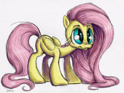 Size: 3117x2343 | Tagged: safe, artist:thesolitarysandpiper, fluttershy, pegasus, pony, :3, :t, colored, cute, female, mare, shyabetes, simple background, sketch, smiling, white background