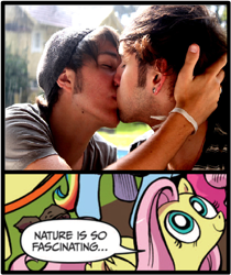 Size: 396x472 | Tagged: safe, idw, fluttershy, human, pegasus, pony, blue coat, blue eyes, dialogue, exploitable meme, female, gay, kissing, looking up, male, mare, meme, multicolored tail, nature is so fascinating, pink coat, pink mane, smiling, speech bubble, wings, yellow coat