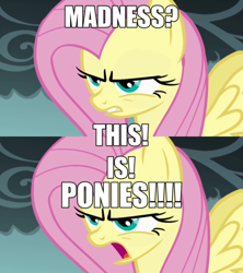 Size: 500x563 | Tagged: safe, fluttershy, pegasus, pony, female, image macro, mare, pink mane, yellow coat