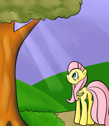 Size: 745x856 | Tagged: safe, artist:nasse, fluttershy, pegasus, pony, female, mare, pink mane, tree, yellow coat