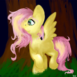 Size: 4000x4000 | Tagged: safe, artist:froststarthecat, fluttershy, pegasus, pony, female, mare, pink mane, yellow coat