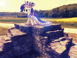 Size: 2560x1920 | Tagged: safe, artist:colorfulbrony, princess platinum, rarity, clothes, crown, irl, photo, ponies in real life, robe, royalty, solo, vector