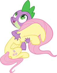 Size: 8651x11000 | Tagged: safe, artist:sillyfoal, fluttershy, spike, dragon, pegasus, pony, absurd resolution, female, flutterspike, male, shipping, straight