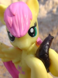 Size: 1944x2592 | Tagged: safe, fluttershy, figure, holding, irl, photo, slug, toy