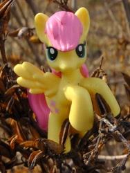 Size: 1944x2592 | Tagged: safe, fluttershy, blind bag, figure, irl, photo, plant, solo, toy