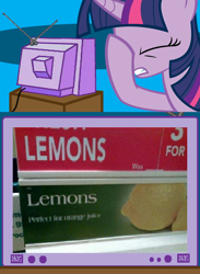 Size: 438x600 | Tagged: safe, derpibooru import, twilight sparkle, exploitable meme, facehoof, fail, lemon, meme, tv meme