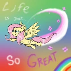 Size: 800x800 | Tagged: safe, artist:ichibangravity, fluttershy, butterfly, pegasus, pony, flutterhigh, flying, groovy, rainbow, solo