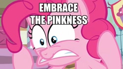 Size: 960x541 | Tagged: safe, pinkie pie, earth pony, pony, detailed background, female, image macro, mare, solo