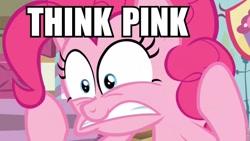 Size: 960x541 | Tagged: safe, pinkie pie, earth pony, pony, detailed background, female, image macro, mare, solo