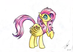 Size: 1671x1185 | Tagged: safe, artist:jacquibim, fluttershy, pegasus, pony, female, mare, solo, traditional art