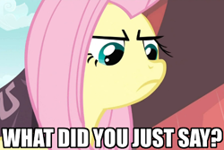 Size: 500x333 | Tagged: safe, fluttershy, pegasus, pony, female, frown, image macro, mare, pink mane, yellow coat