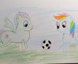 Size: 1202x994 | Tagged: safe, artist:sumi-mlp25, derpibooru exclusive, derpibooru import, rainbow dash, oc, pegasus, pony, female, football, male, sports, traditional art