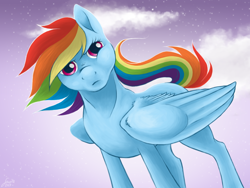 Size: 1024x768 | Tagged: safe, artist:rookuna, derpibooru import, rainbow dash, pegasus, pony, female, looking at you, mare, solo