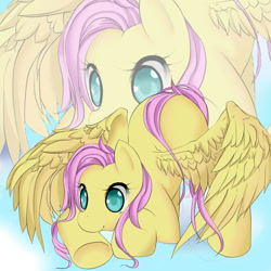 Size: 1000x1000 | Tagged: safe, artist:loyproject, artist:tedy-chan, fluttershy, pegasus, pony, female, mare, pink mane, yellow coat