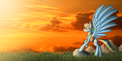 Size: 3200x1600 | Tagged: safe, artist:margo24, derpibooru import, rainbow dash, pegasus, pony, fanfic:austraeoh, element of loyalty, goggles, saddle bag, solo, spread wings, wings