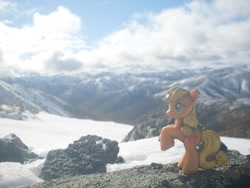 Size: 1536x1152 | Tagged: safe, applejack, blind bag, irl, photo, scenery, toy