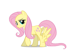 Size: 550x400 | Tagged: safe, artist:lovefluttershy, fluttershy, pegasus, pony, bedroom eyes, simple background, solo, transparent background, vector, wat