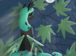 Size: 900x660 | Tagged: safe, artist:kira-minami, queen chrysalis, changeling, changeling queen, female, looking at you, looking back, looking back at you, moon, night, sad, signature, sitting, solo