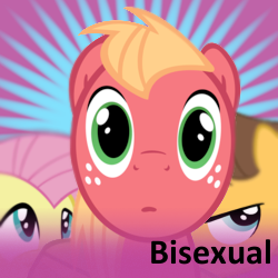 Size: 250x250 | Tagged: safe, big macintosh, caramel, fluttershy, earth pony, pegasus, pony, bisexual, caramac, faic, female, fluttercaramac, fluttermac, gay, male, reaction image, shipping, spoilered image joke, stallion, straight