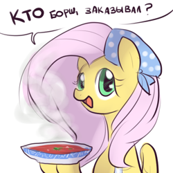 Size: 500x500 | Tagged: safe, fluttershy, pegasus, pony, borscht, food, russian, solo, soup