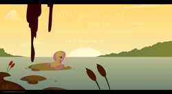 Size: 3000x1644 | Tagged: safe, artist:fluttershythekind, angel bunny, fluttershy, pegasus, pony, quote, sunset, water