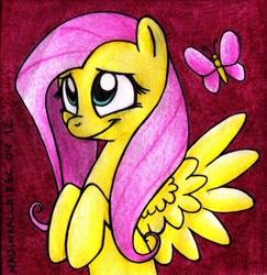 Size: 1112x1145 | Tagged: safe, artist:madinkaclairec, fluttershy, butterfly, pegasus, pony, female, mare, traditional art