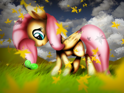 Size: 2626x1978 | Tagged: safe, artist:ralek, fluttershy, pegasus, pony, female, mare, pink mane, yellow coat